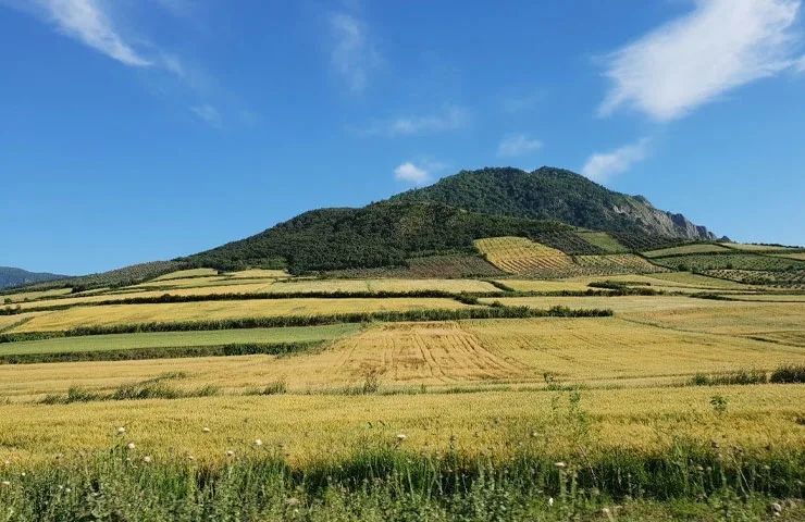 پارک ملی گلستان