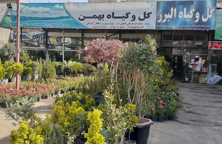 آدرس بازار گل مشهد