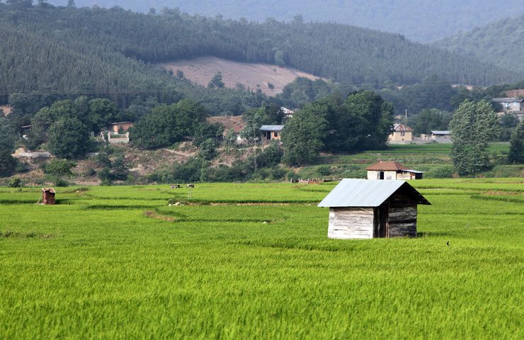 بهترین زمان سفر به دودانگه ساری