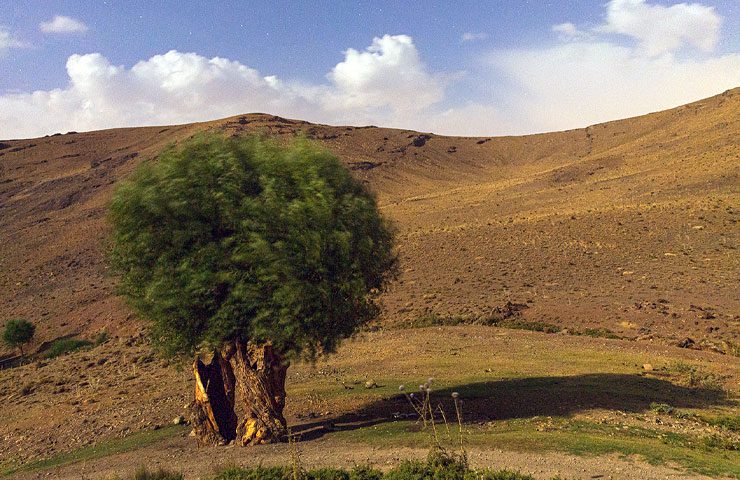 فاصله کاشان تا جاسب