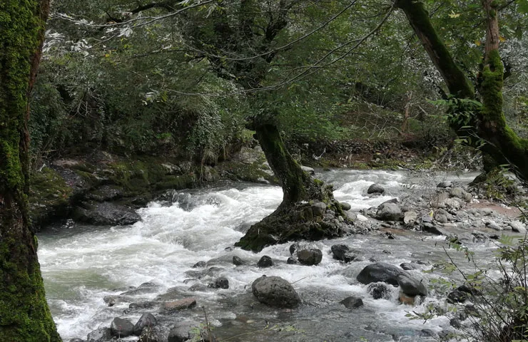 روستای بلوردکان