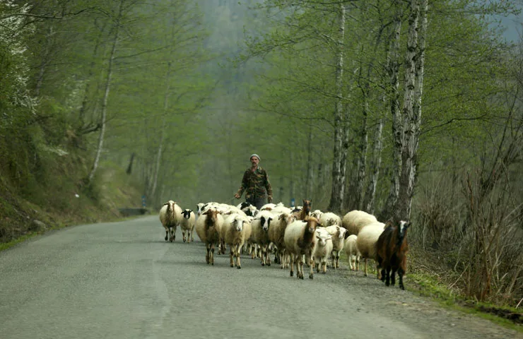 روستای هلودشت