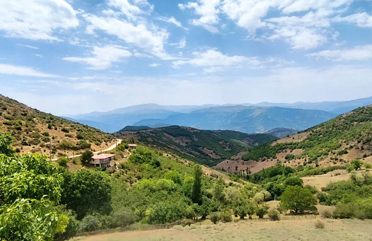 خصیل دشت در تابستان 