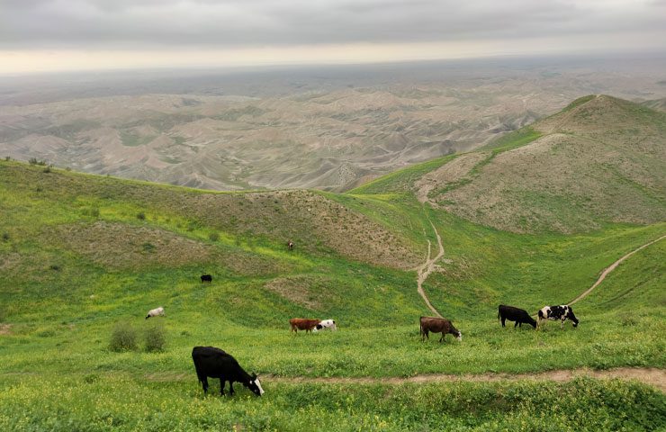 منطقه گردشگری ترکمن صحرا