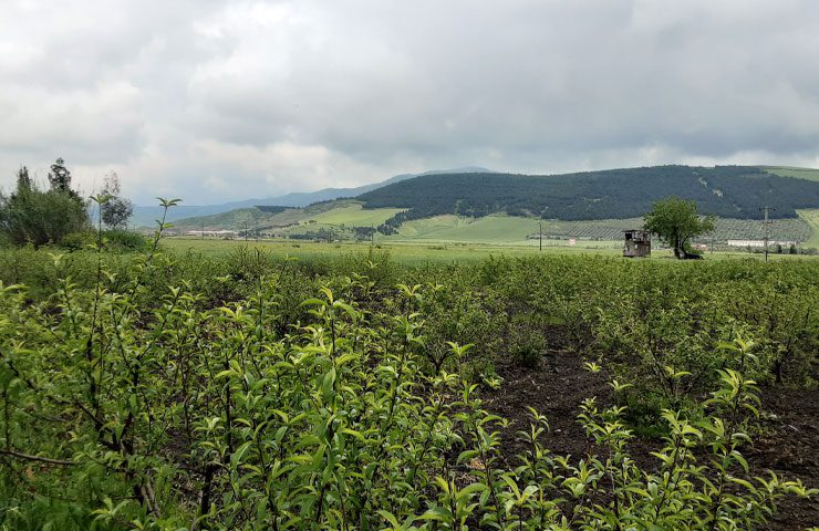 مسیر دسترسی به بندر ترکمن