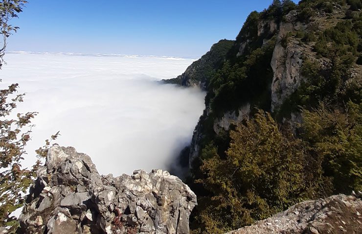 بالا آمدن مه در منطقه حفاظت شده جهان نما