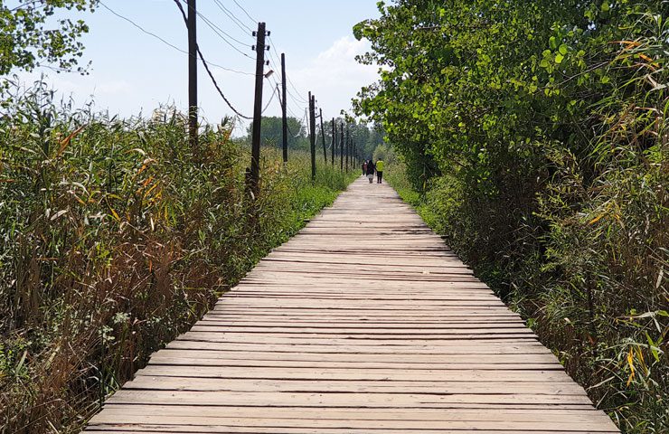 مسیر دسترسی به پل کیاشهر