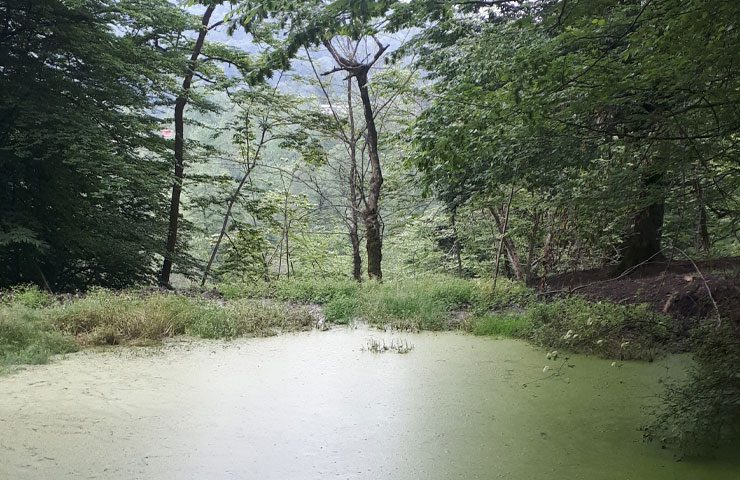 طبیعت زیبای روستای کیمون