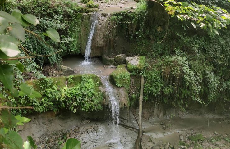 اقامت در روستای کیمون