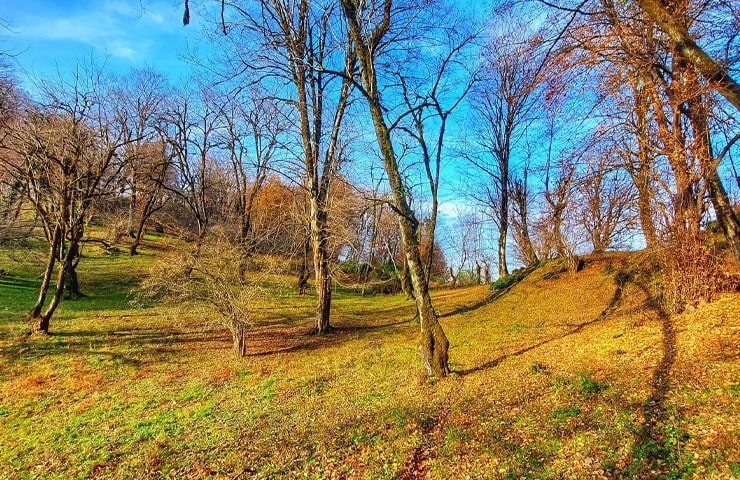 روستای کیمون کجاست؟