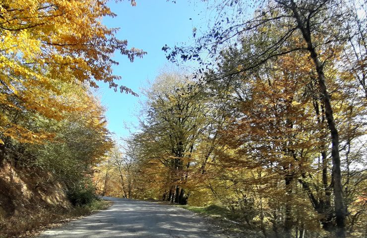 طبیعت پاییزی روستای بهمنان شیرگاه