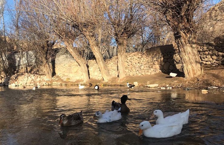 روستای گلیان شیروان