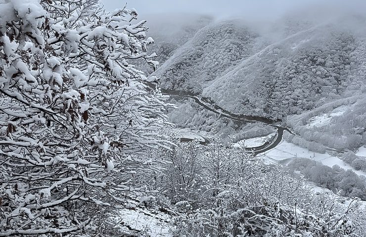 جنگل ارسباران در زمستان 