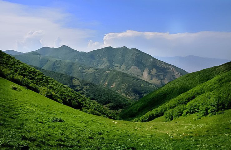 طبیعت زیبای جنگل ارسباران 