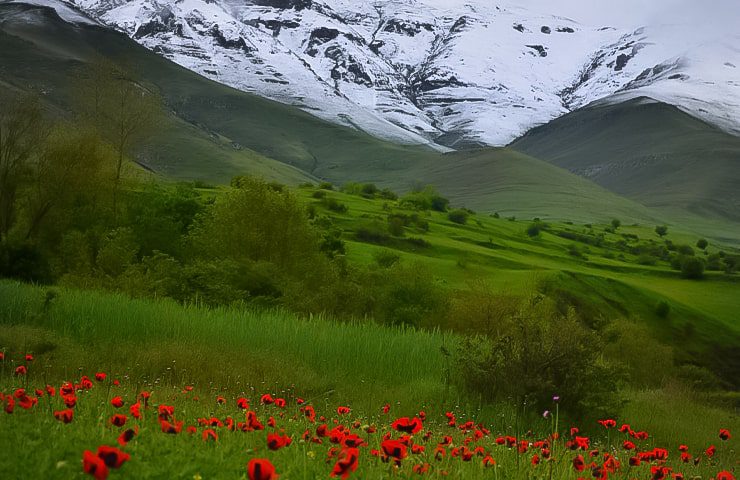 بهترین زمان سفر به جنگل ارسباران