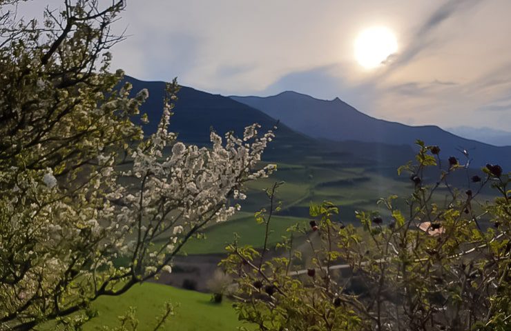 مسیر دسترسی به جنگل ارسباران