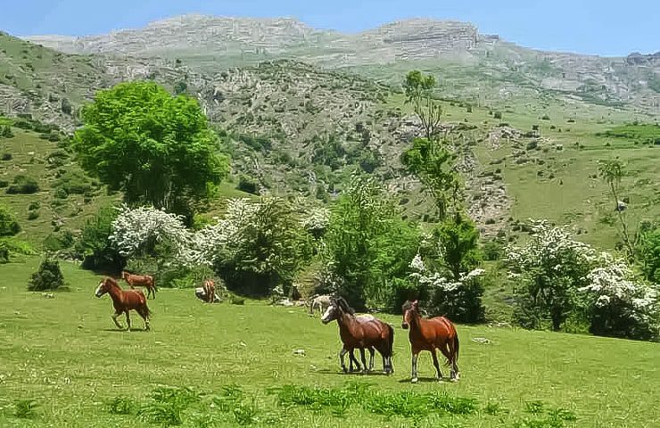 ورزش‌ های معروف فشکور