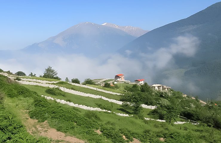 پوشش گیاهی روستای فشکور 