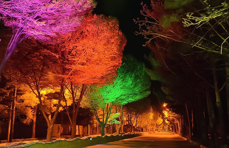 خیابان های قمصر کاشان با نورپردازی ویژه 