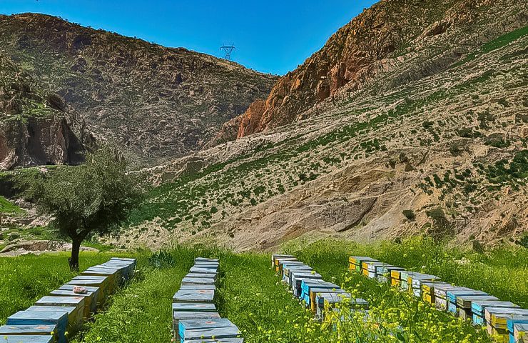 طبیعت زیبای محوطه باستانی شمی