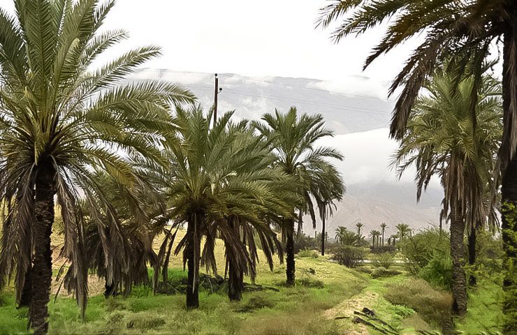 روستای مغدان