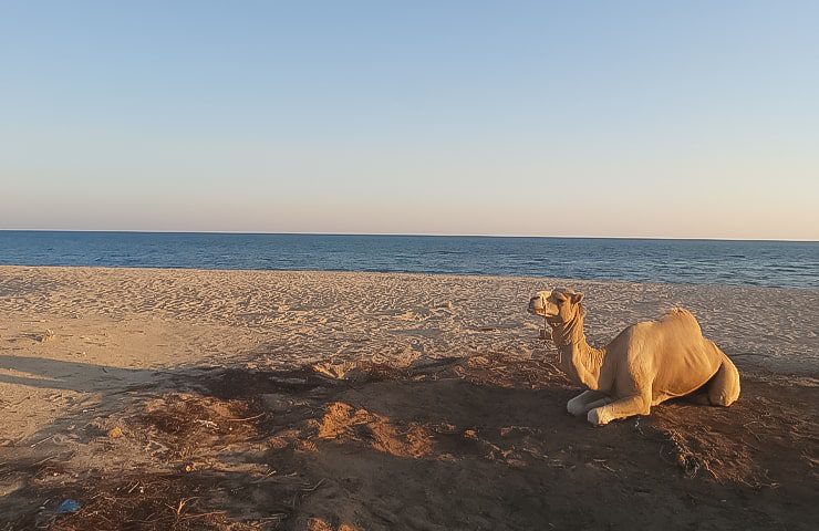 ساحل زیبای قشم 