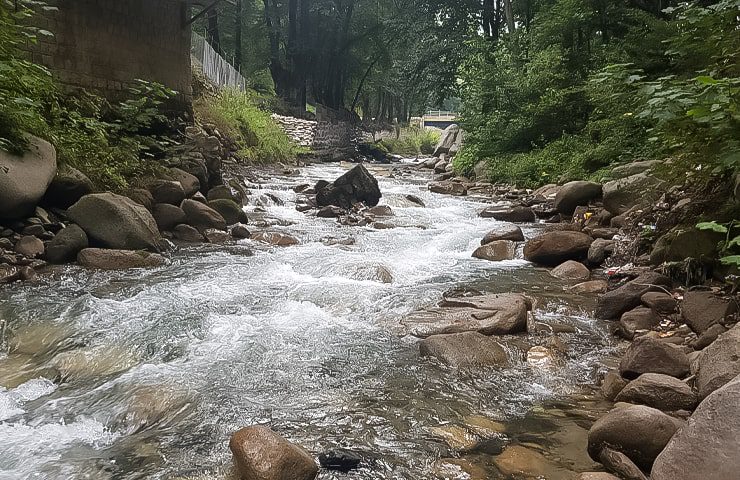 طبیعت زیبا و سرسبز رودبارک 