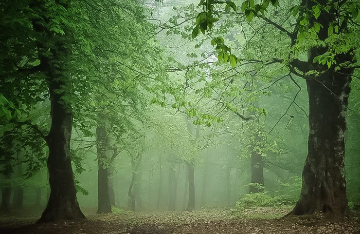 روستاهای نزدیک به رودبارک