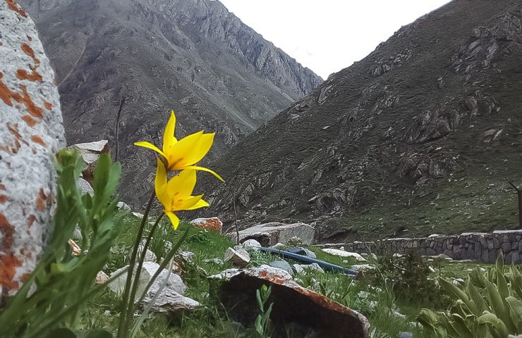 طبیعت روستای ونداربن 