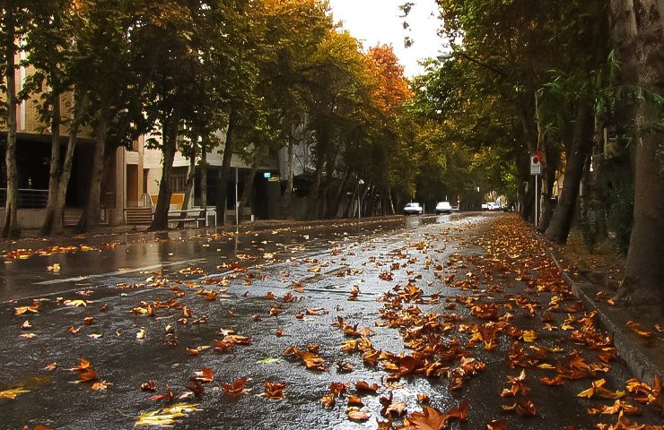 خیابان ولیعصر تهران 