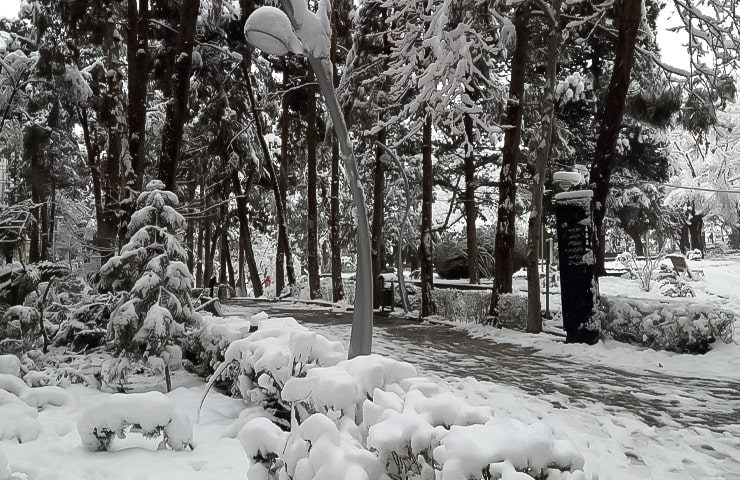 پارک ساعی در زمستان