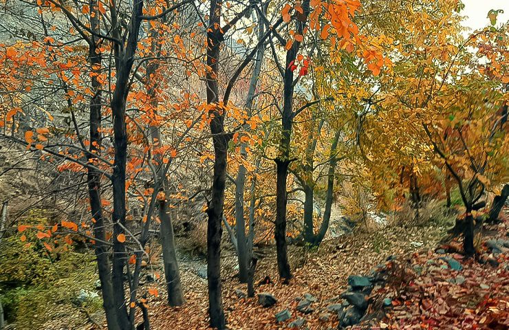 روستای افجه در پاییز