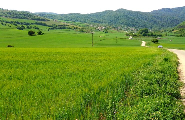 روستای الندان