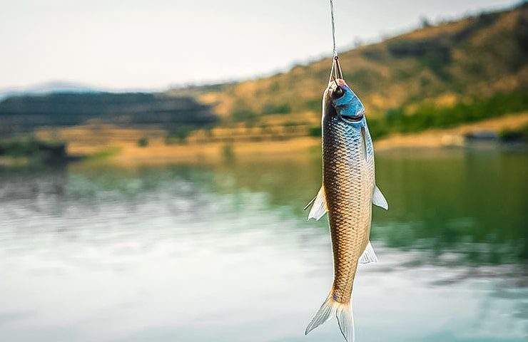 ماهیگیری در دیاچه الندان