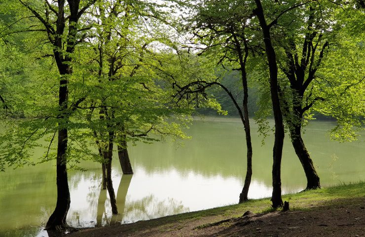 دریاچه چورت ساری