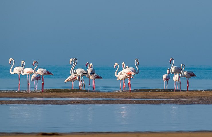 پارک ساحلی بنک