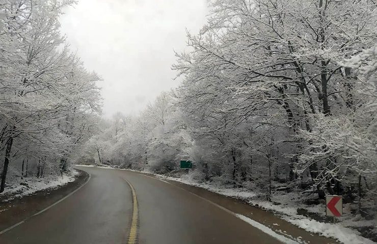 جنگل گلستان در زمستان