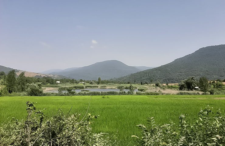 طبیعت زیبای شهر نکا