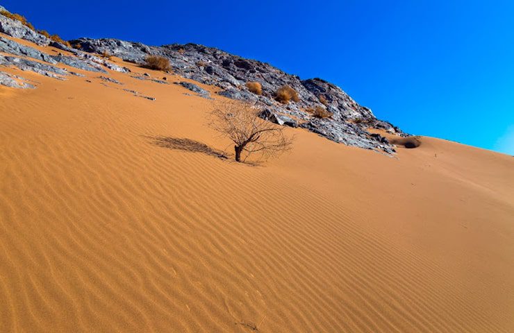 معرفی کویر پلوند