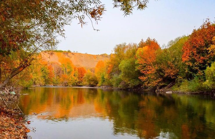 باغ بهادران