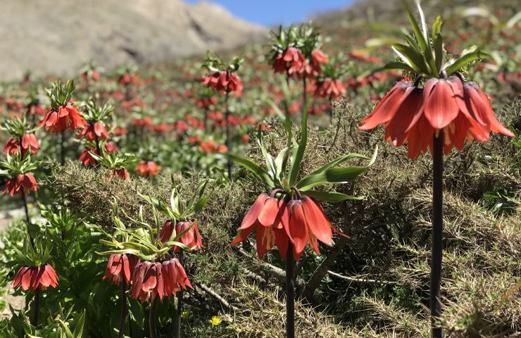 جاهای دیدنی اطراف اصفهان کجاست؟