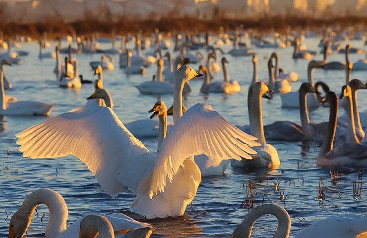 جاهای دیدنی بابلسر تا چالوس