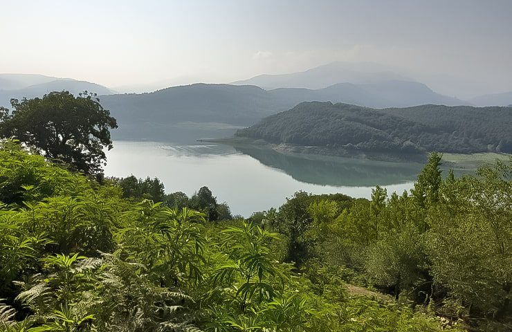 طبیعت زیبای روستای گالشکلا در مه