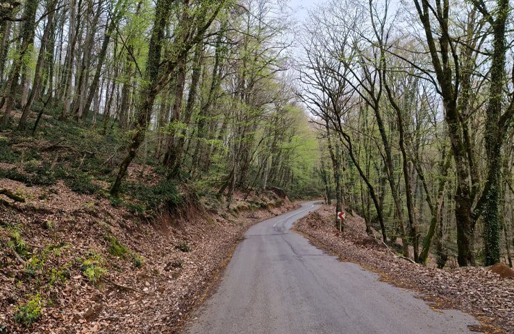 طبیعت زیبای روستای لاجیم