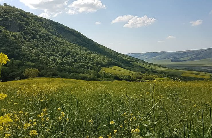 پارک ملی گلستان