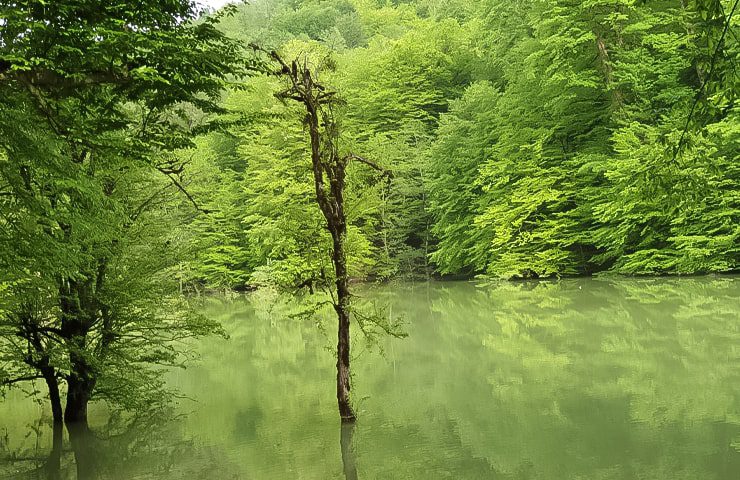 طبیعت زیبای دریاچه چورت