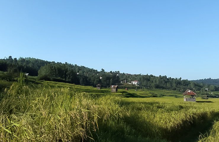 روستای برج خلیل