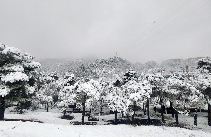 پارک جنگلی لویزان تهران