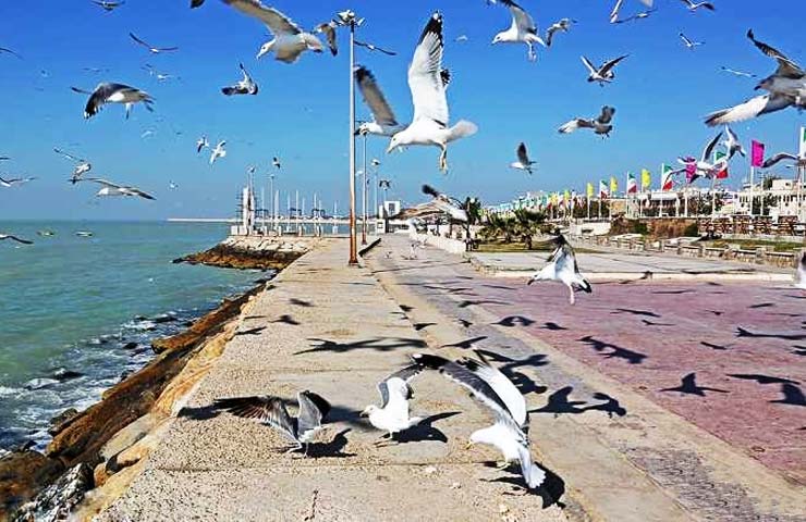 bushehr attractions 11