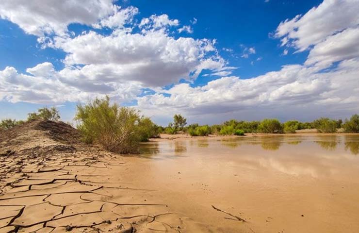 تالاب حله بوشهر از جاذبه های دیدنی بوشهر